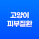 고양이 피부질환 대처법 예방 및 치료 19
