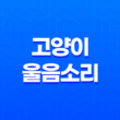 고양이 울음소리 종류 및 의미 정리 19