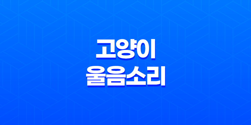 고양이 울음소리 종류 및 의미 정리 8 고양이 울음소리 종류 및 의미 정리 7
