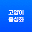 고양이 중성화 왜 해야할까, 필요성과 중요성 21
