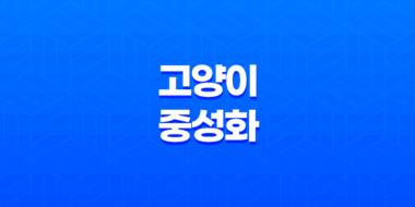 고양이 중성화 왜 해야할까, 필요성과 중요성 63