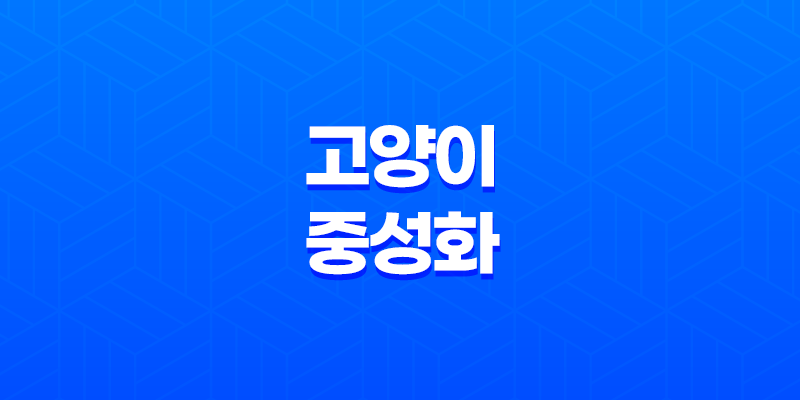 고양이 중성화 왜 해야할까, 필요성과 중요성 7