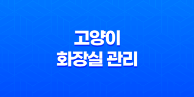 고양이 화장실 관리 모래 선택 및 교체 27