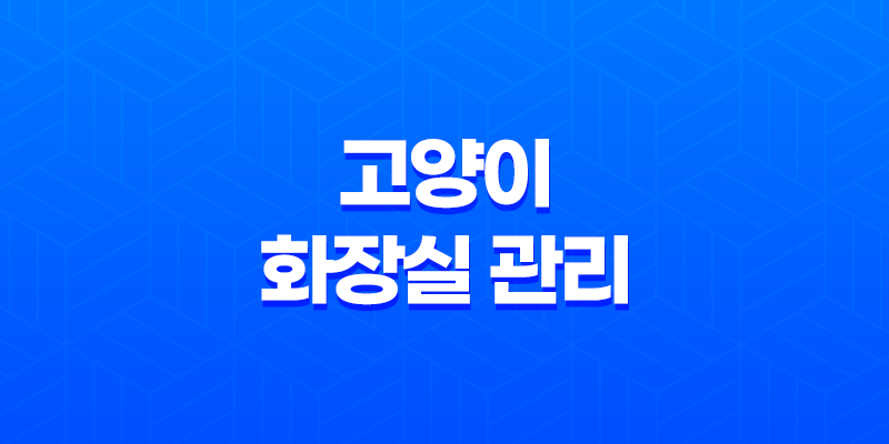고양이 화장실 관리 모래 선택 및 교체 7