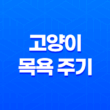 고양이 목욕 주기 씻기는 방법과 목욕 횟수 29