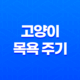 고양이 목욕 주기 씻기는 방법과 목욕 횟수 29