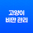 고양이 비만 관리! 중성화 후 주의사항 및 방법 21