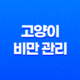 고양이 비만 관리! 중성화 후 주의사항 및 방법 17