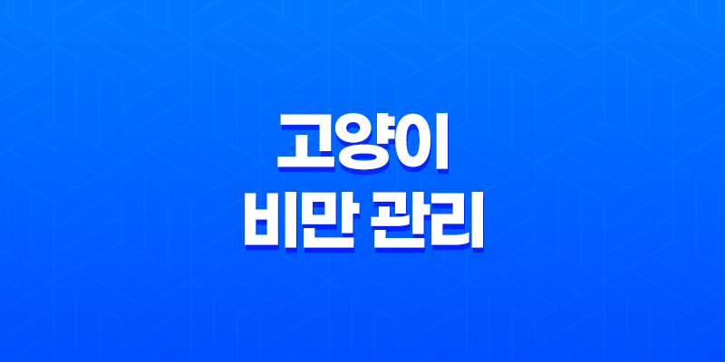 고양이 비만 관리! 중성화 후 주의사항 및 방법 7