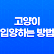 고양이를 안전하게 입양하는 방법 5가지 19
