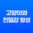 고양이와의 친밀감 형성과 피해야 할 행동 25