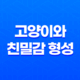 고양이와의 친밀감 형성과 피해야 할 행동 25