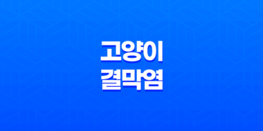 고양이 결막염 바이러스 원인과 치료방법 23