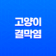 고양이 결막염 바이러스 원인과 치료방법 21
