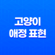 고양이 애정 표현 4가지 알아보자! 21