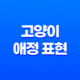 고양이 애정 표현 4가지 알아보자! 21