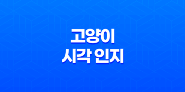 고양이 시각 인지 능력과 텔레비전 시청 특성 55