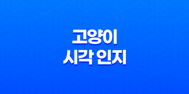 고양이 시각 인지 능력과 텔레비전 시청 특성 8 고양이 시각 인지 능력과 텔레비전 시청 특성 7