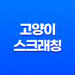 고양이 내분비 질환 - 갑상선기능항진증, 의심 증상과 치료 21