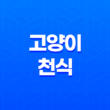 고양이 천식 호흡곤란 원인과 증상, 적절한 관리 방법 13