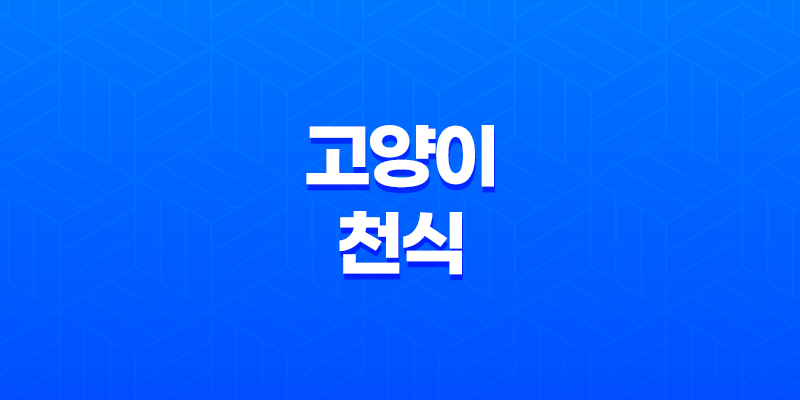 고양이 천식 호흡곤란 원인과 증상, 적절한 관리 방법 8 고양이 천식 호흡곤란 원인과 증상, 적절한 관리 방법 7