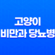 고양이 비만과 당뇨병 증상, 원인, 예방방법 19