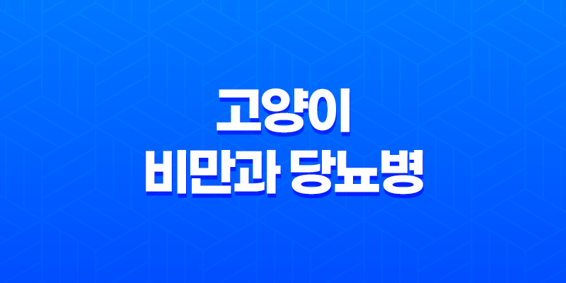 고양이 비만과 당뇨병 증상, 원인, 예방방법 8 고양이 비만과 당뇨병 증상, 원인, 예방방법 7