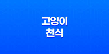 고양이 천식 증상, 원인 및 의심 증상 91