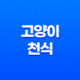 고양이 천식 증상, 원인 및 의심 증상 21
