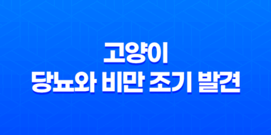 고양이 당뇨와 비만 조기 발견 및 예방 95