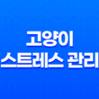 고양이 스트레스 관리, 이해하고 해결하는 방법 21