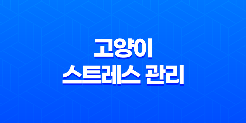 고양이 스트레스 관리, 이해하고 해결하는 방법 8 고양이 스트레스 관리, 이해하고 해결하는 방법 7