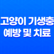 고양이 기생충 예방 및 치료(조충류, 회충, 십이지장충) 21