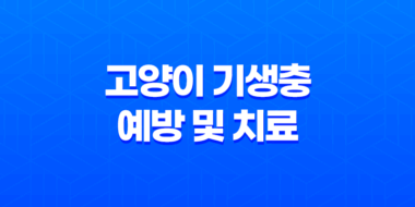 고양이 기생충 예방 및 치료(조충류, 회충, 십이지장충) 45