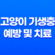 고양이 기생충 예방 및 치료(조충류, 회충, 십이지장충) 21