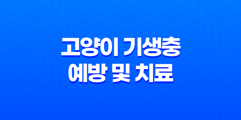 고양이 기생충 예방 및 치료(조충류, 회충, 십이지장충) 8 고양이 기생충 예방 및 치료(조충류, 회충, 십이지장충) 7