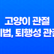 고양이 관절 유지법, 퇴행성 관절염 방지를 위한 관리법 21