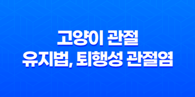고양이 관절 유지법, 퇴행성 관절염 방지를 위한 관리법 27