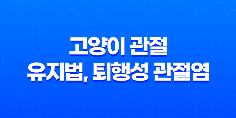 고양이 관절 유지법, 퇴행성 관절염 방지를 위한 관리법 8 고양이 관절 유지법, 퇴행성 관절염 방지를 위한 관리법 7