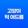 고양이 턱 여드름 발생 원인과 관리 방법 21