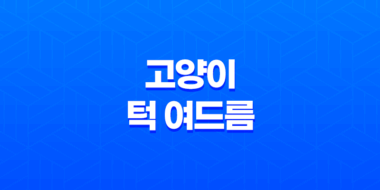 고양이 턱 여드름 발생 원인과 관리 방법 45