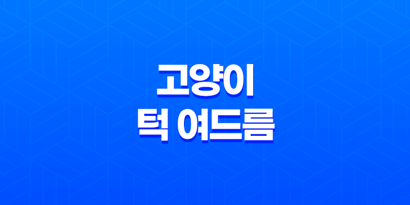 고양이 턱 여드름 발생 원인과 관리 방법 8 고양이 턱 여드름 발생 원인과 관리 방법 7