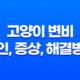 고양이 변비 원인, 증상, 해결방안 23
