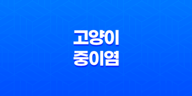 고양이 중이염 귓병의 관리와 치료 63