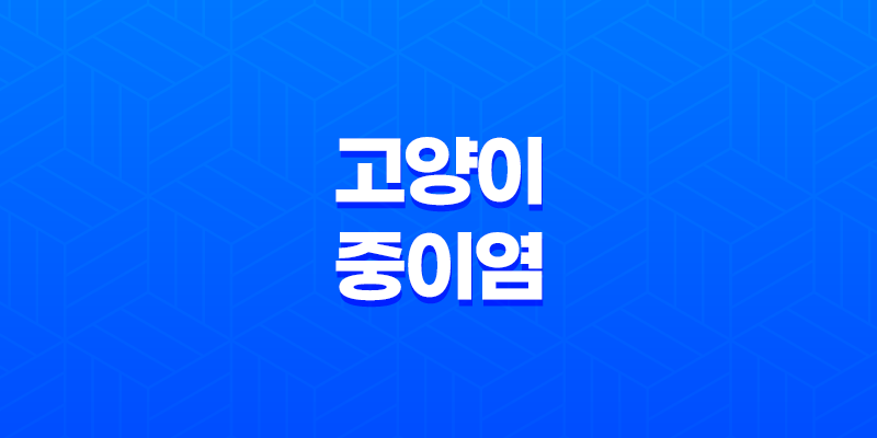 고양이 중이염 귓병의 관리와 치료 8 고양이 중이염 귓병의 관리와 치료 7