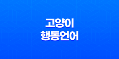 고양이 행동언어, 알기 어려운 그들의 심리를 이해하다! 43