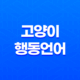 고양이 행동언어, 알기 어려운 그들의 심리를 이해하다! 21