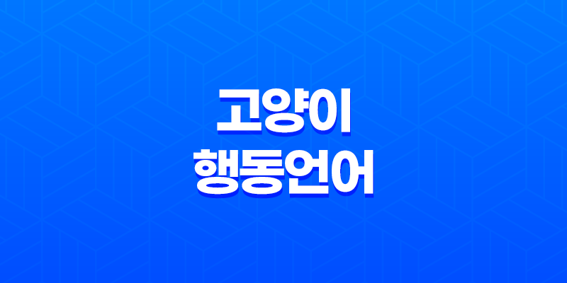 고양이 행동언어, 알기 어려운 그들의 심리를 이해하다! 8 고양이 행동언어, 알기 어려운 그들의 심리를 이해하다! 7