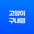 고양이 구내염 원인, 증상, 치료법, 개선방법 25