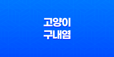 고양이 구내염 원인, 증상, 치료법, 개선방법 57